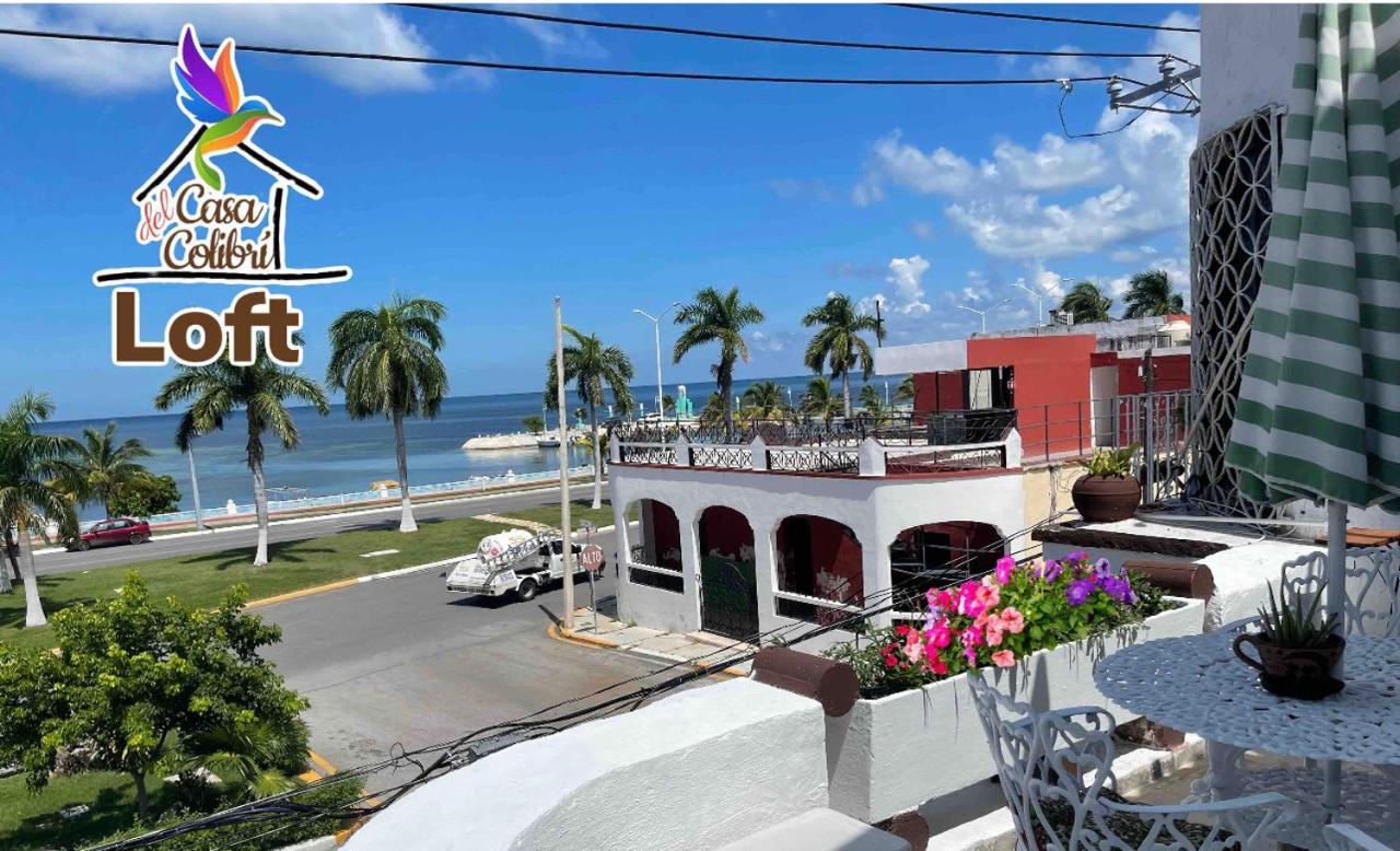 La Casa Del Colibri Apartment Campeche Luaran gambar